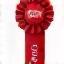 Proven Track Record Icon - award ribbon
